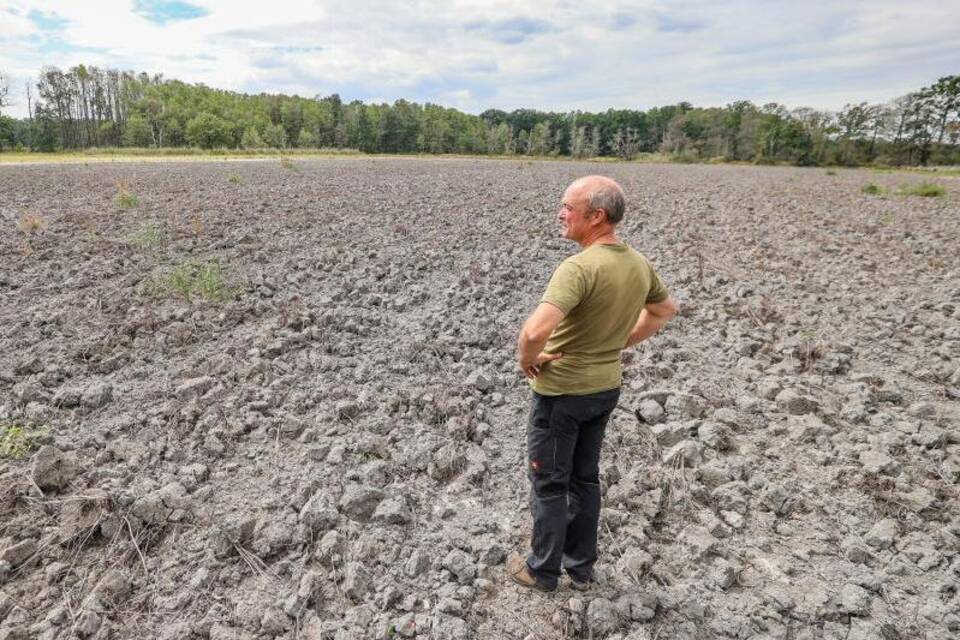 Ein ausgetrockneter Teich Ein ausgetrockneter Teich