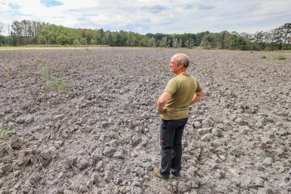 Ein ausgetrockneter Teich