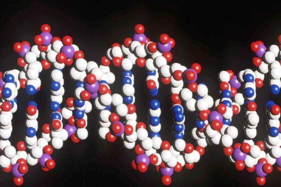 DNA-Strang DNA-Strang