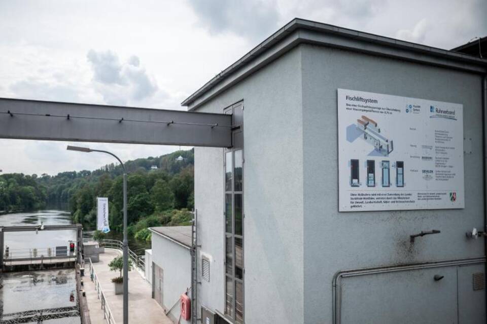 KINA - Fische fahren Lift KINA - Fische fahren Lift